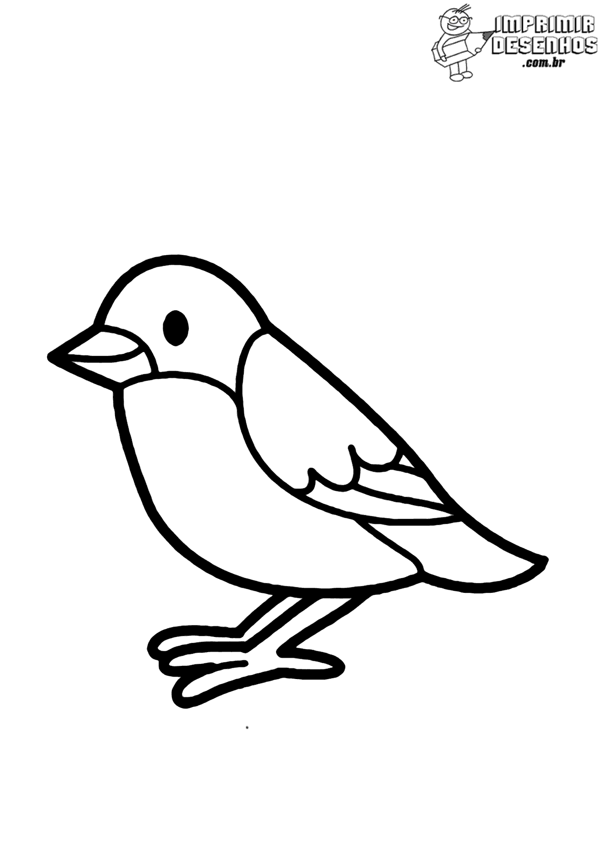 técnicas de desenho de pássaros