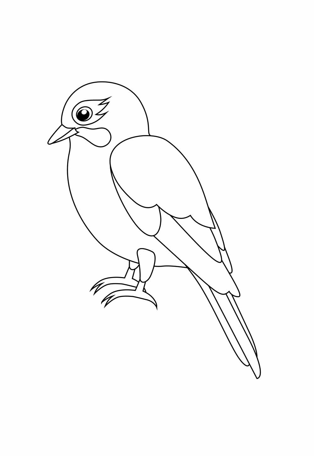 vetores de passarinho