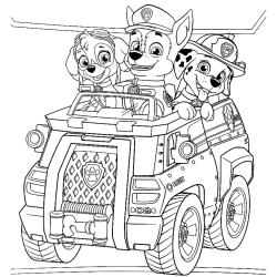 desenhos patrulha canina Ryder