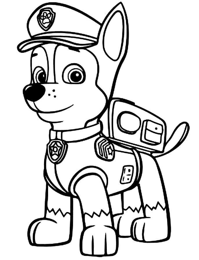 desenho para colorir patrulha canina