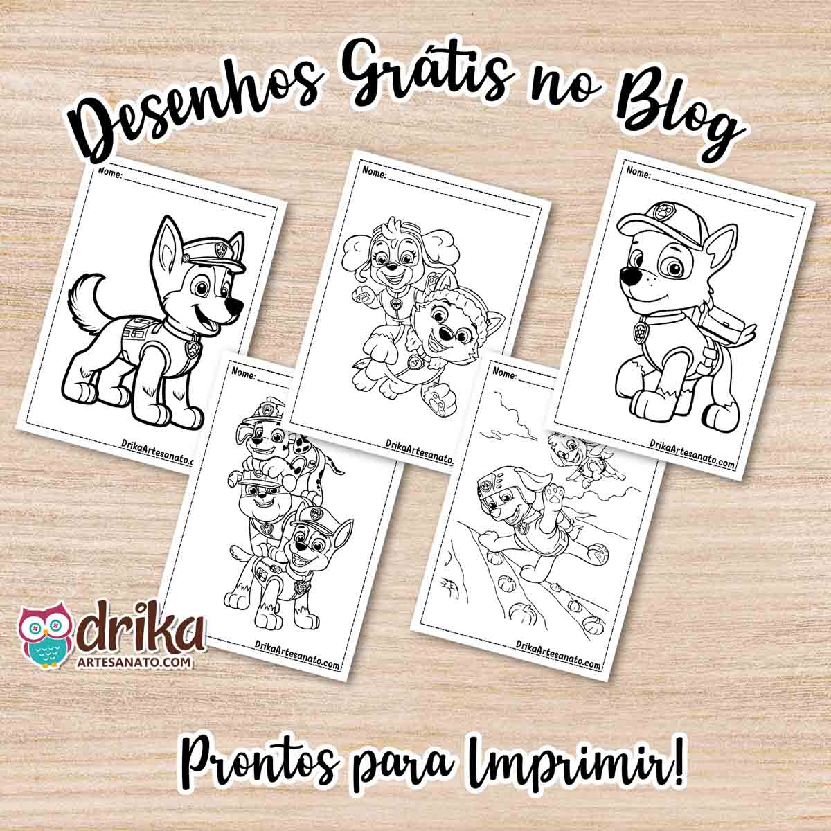 erros comuns ao imprimir desenhos patrulha canina