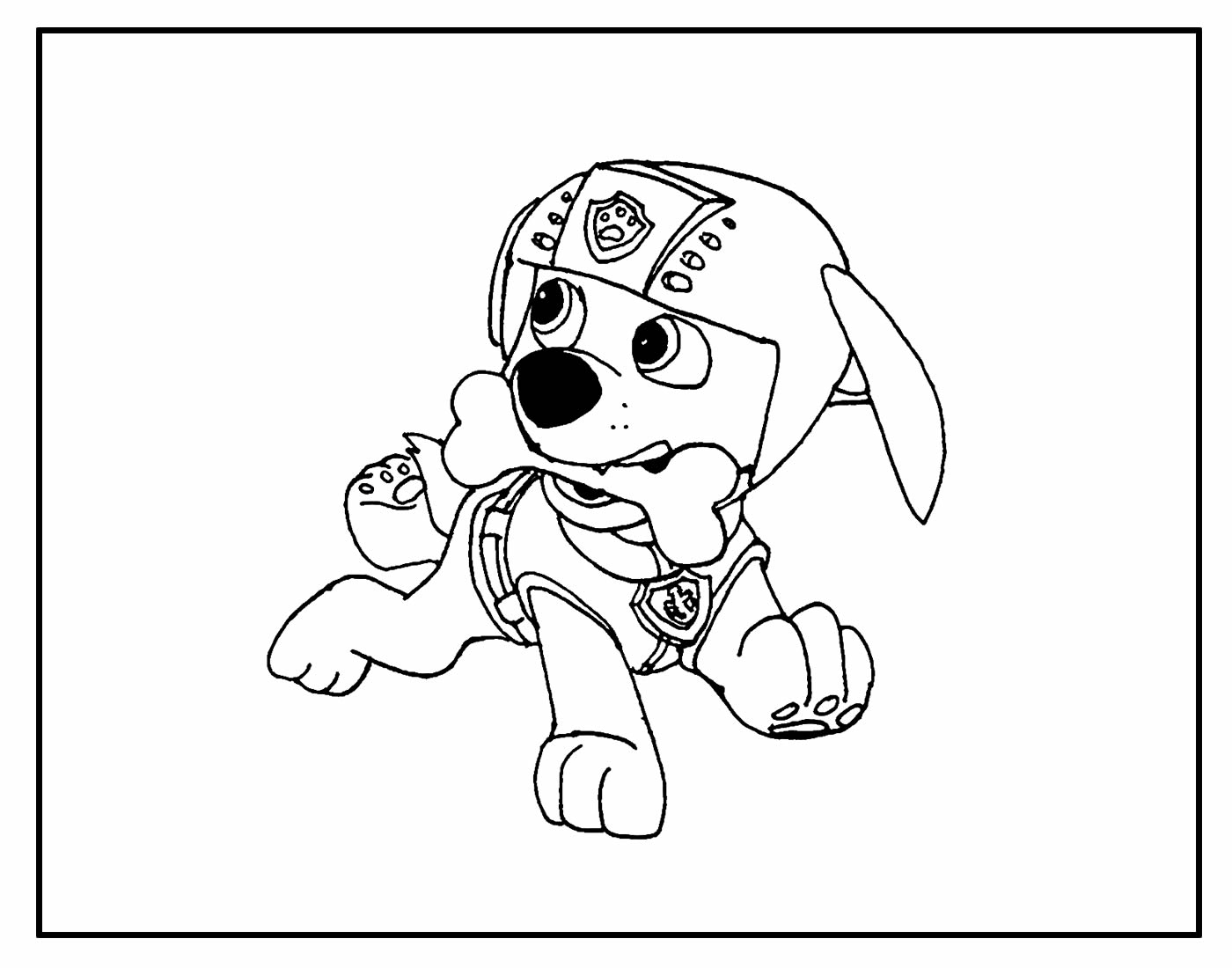 preço livro patrulha canina 365 desenhos para colorir