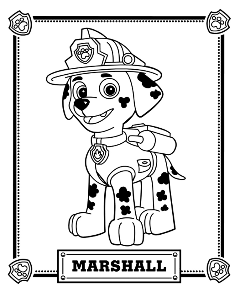 preço livro patrulha canina 365 desenhos para colorir
