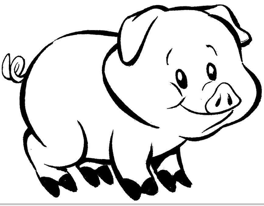 desenhos de animais para colorir e imprimir grátis