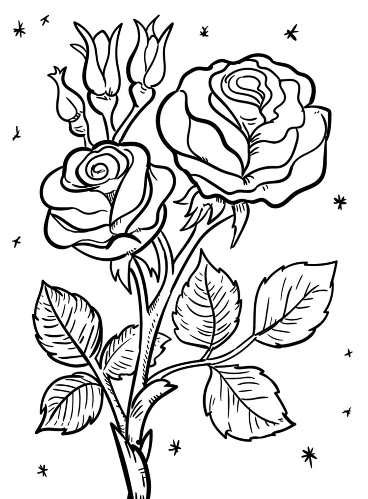 desenhos de flores para colorir e imprimir grátis