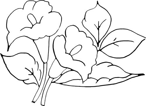 desenhos de flores para canetinhas