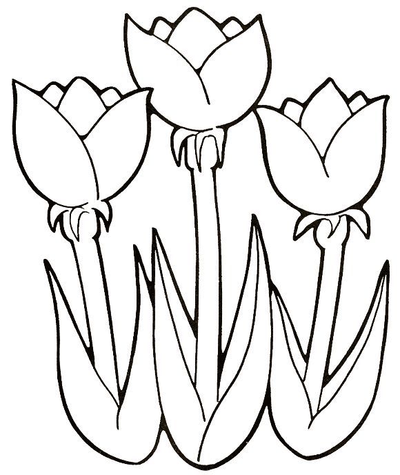 desenhos de flores abstratas para colorir
