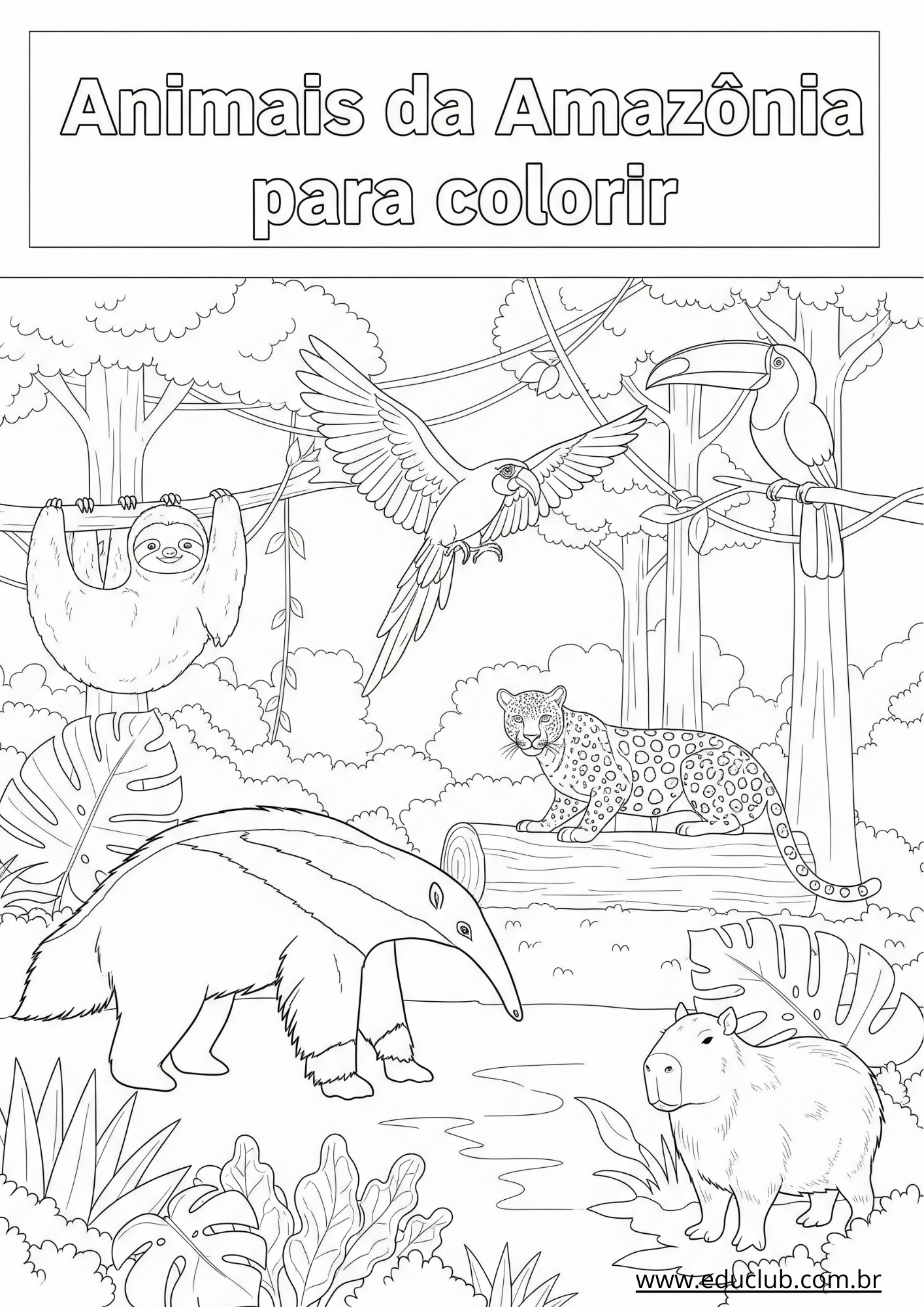 melhores sites para baixar desenhos para colorir e imprimir grátis