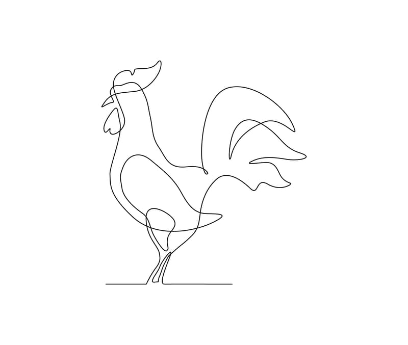 desenhos de animais difíceis