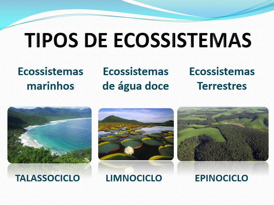 dificuldades adaptação vida epinociclo