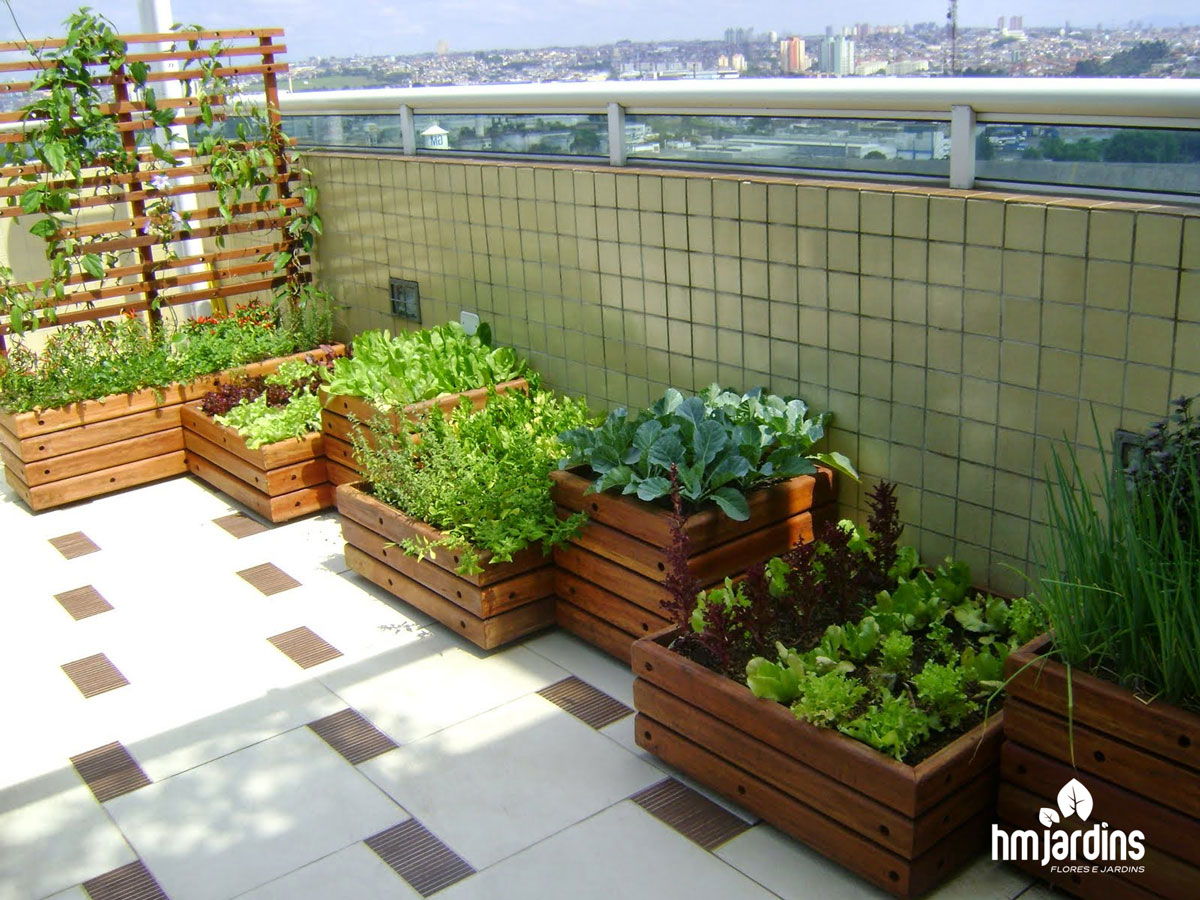 melhores plantas para jardim de apartamento pequeno