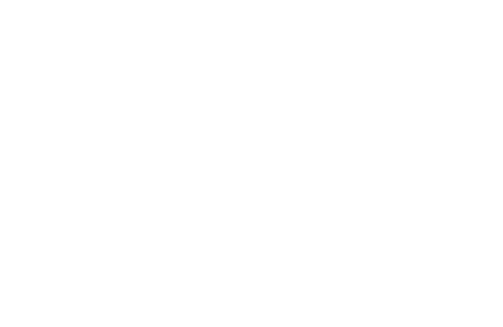 erros comuns em regimes autocráticos e suas consequências