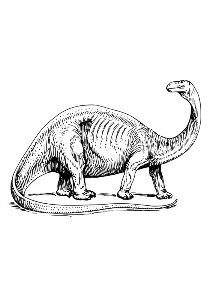 desenho de dinossauro velociraptor azul para colorir