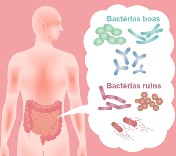 erros comuns no tratamento de infecções bacterianas