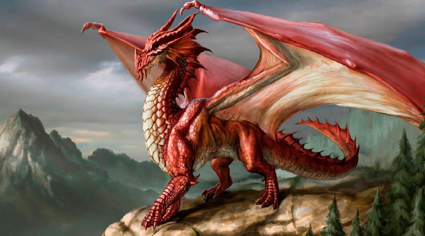 dragao