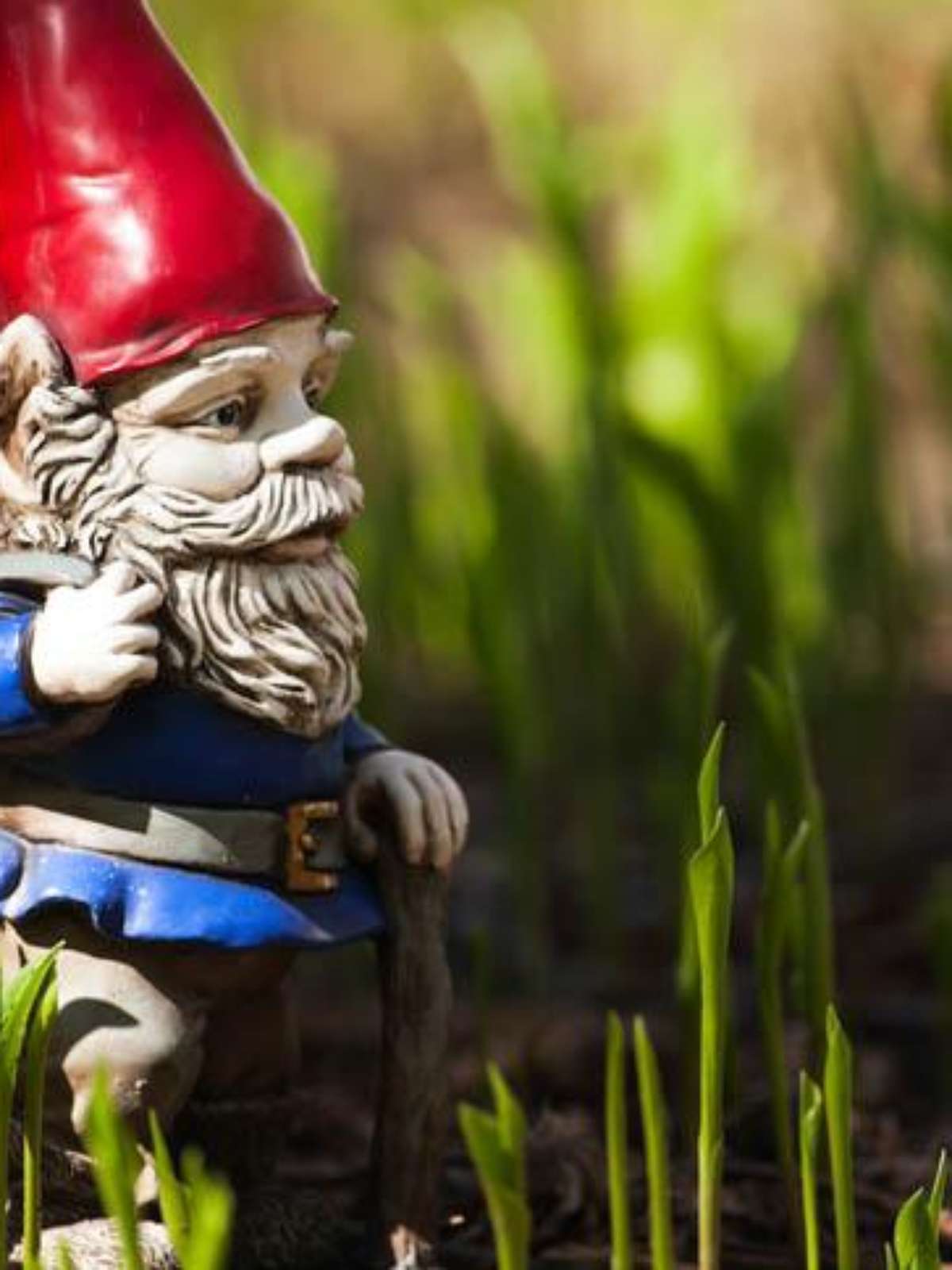 erros comuns ao lidar com duendes