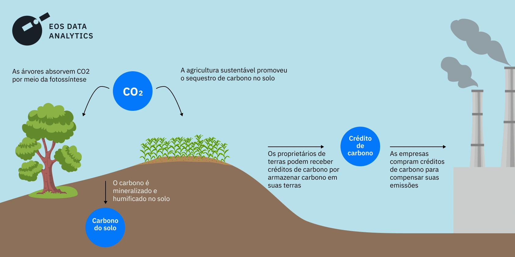 erros comuns ao gerar créditos de carbono