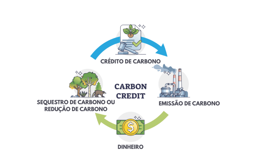 principais falhas que invalidam créditos de carbono