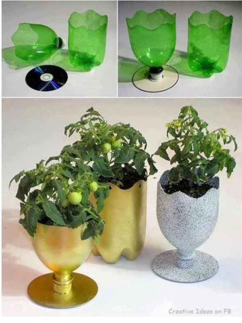 vasos de plantas com garrafa pet