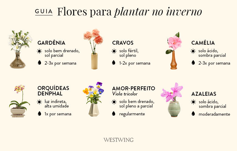 flores e seus nomes