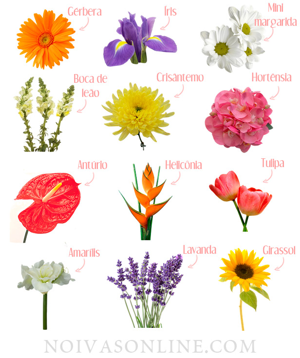 nomes de flores e seus significados inspiradores