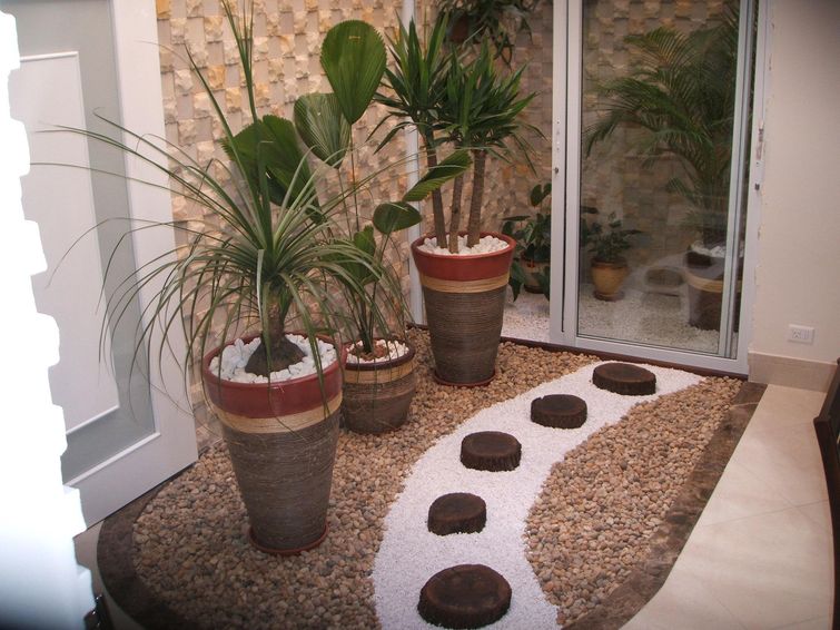 melhores flores para jardim de inverno com pouca luz