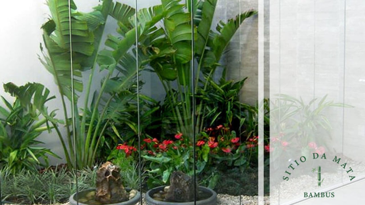 quanto custa montar um jardim de inverno com flores de pouca luz