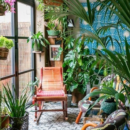 melhores flores para jardim de inverno com pouca luz natural