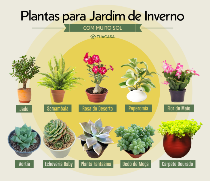 quanto custa montar um jardim de inverno com pouca manutenção