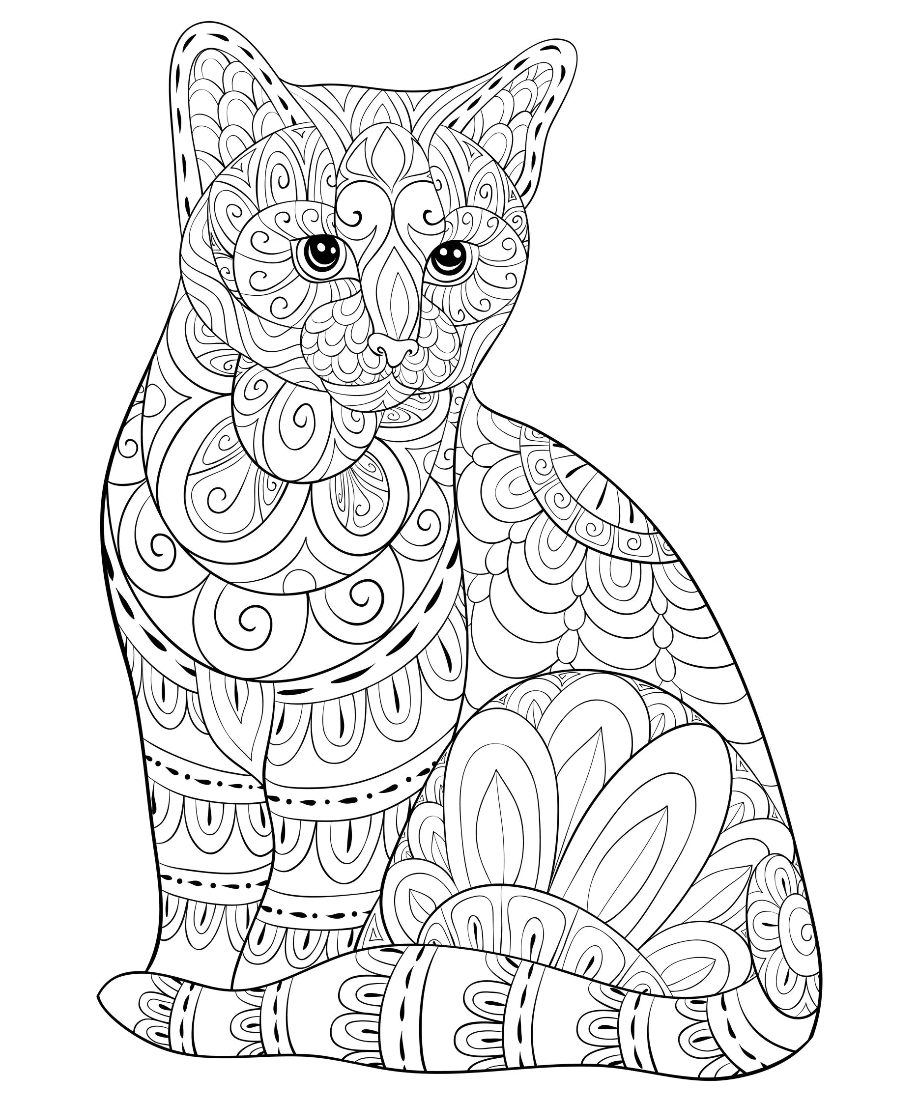 gato siamês para colorir