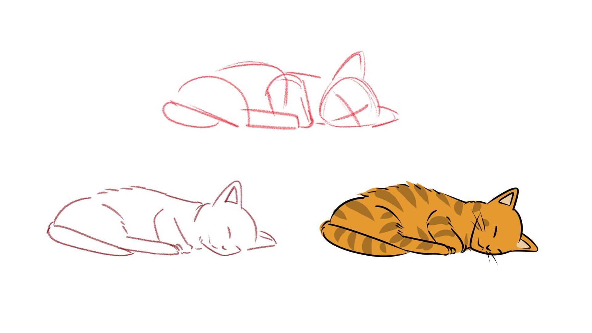 gato para colorir