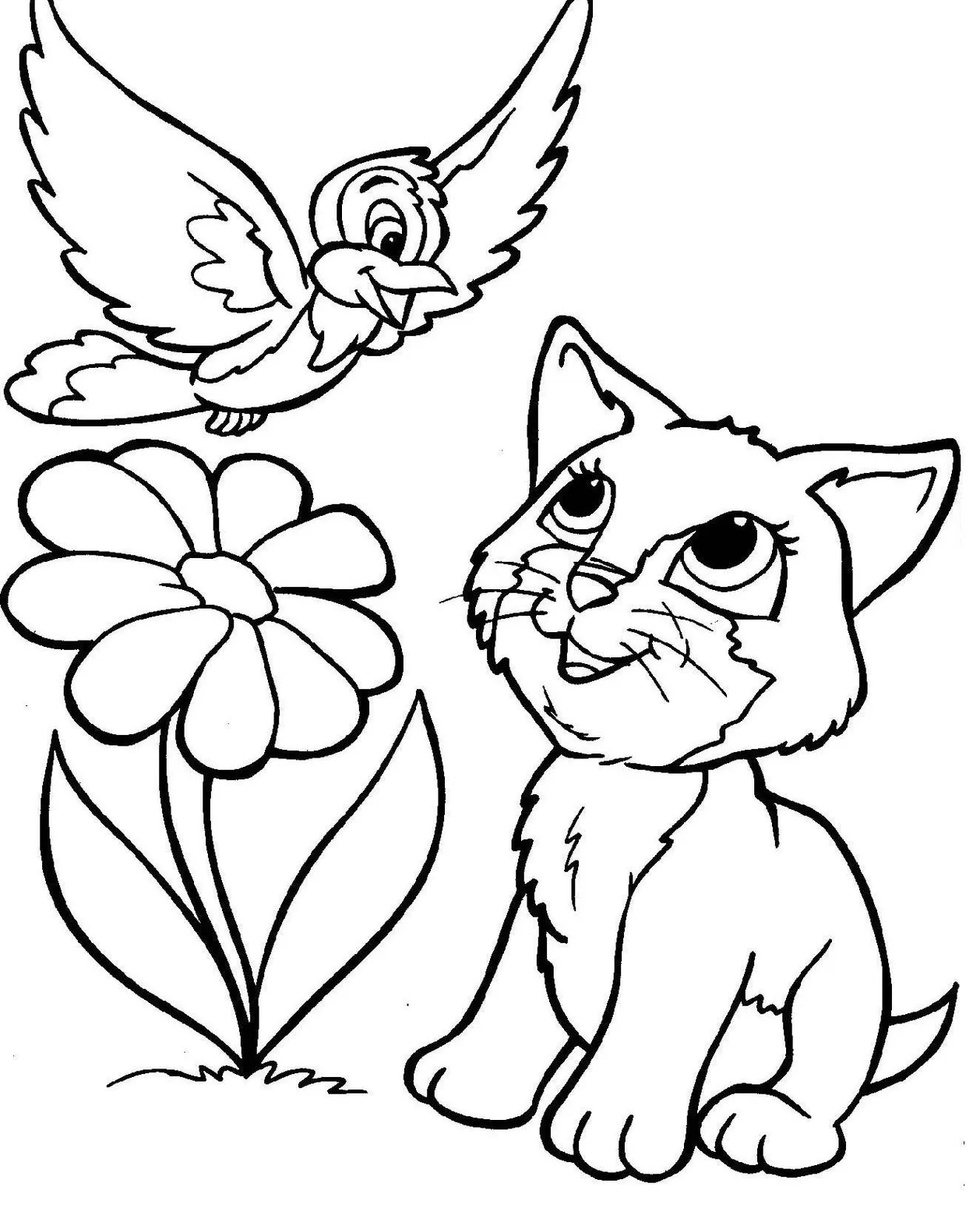 preço de livros de gatos para colorir