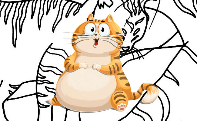 gatos para colorir vs gatos para pintar