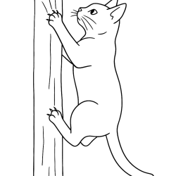 gatos para colorir vs gatos para pintar