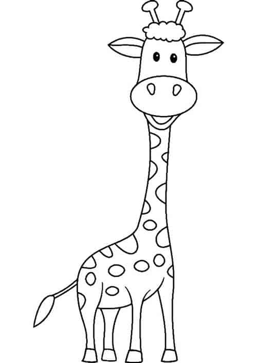 custo de ilustrações profissionais de girafas