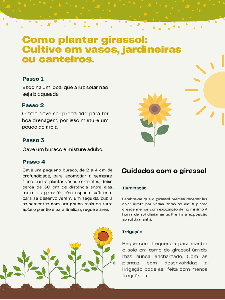 erros comuns ao cuidar de girassol e como evitar