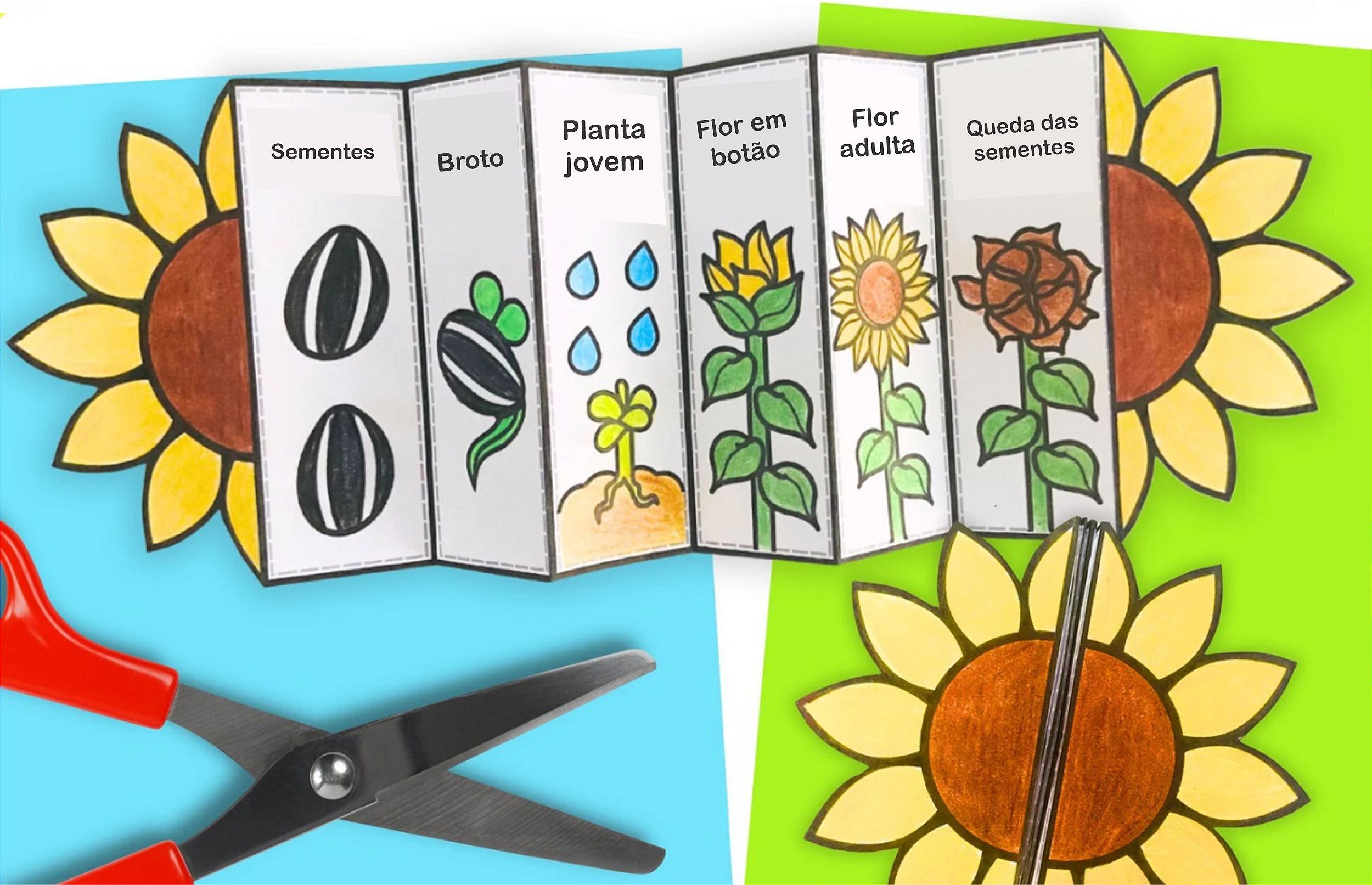 erros comuns ao imprimir e recortar moldes de girassol