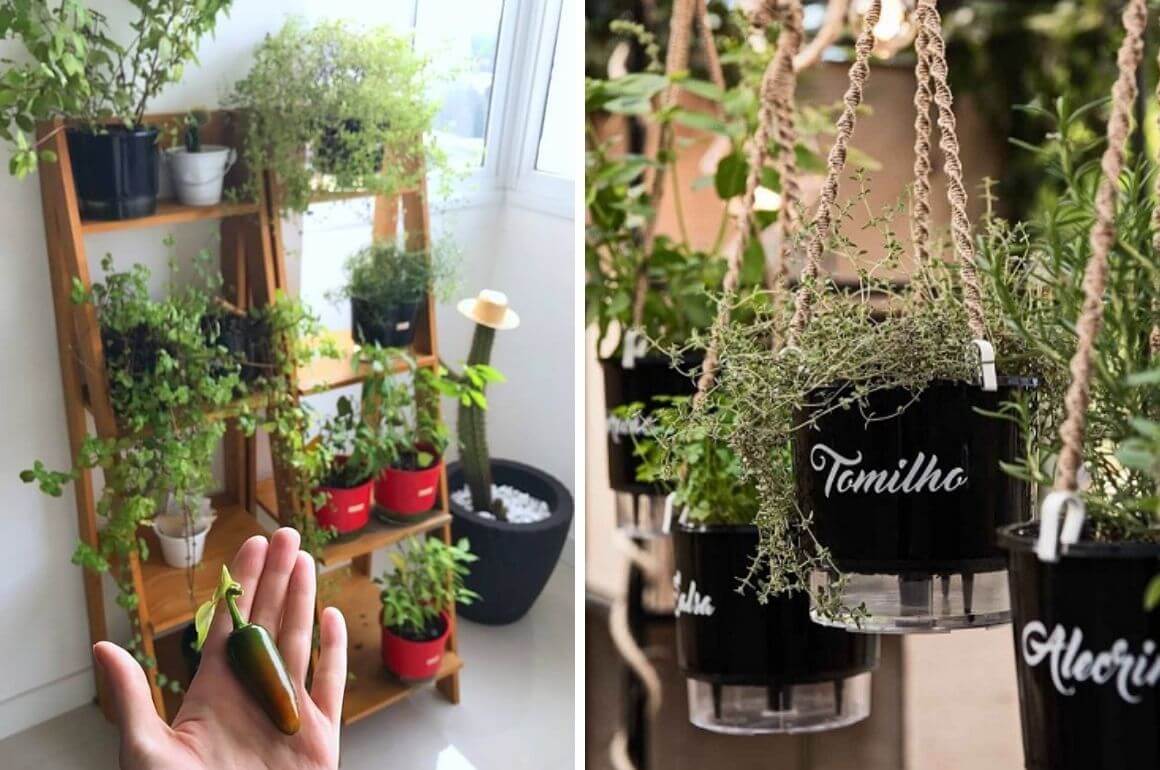 ideias de horta em apartamento com muita luz