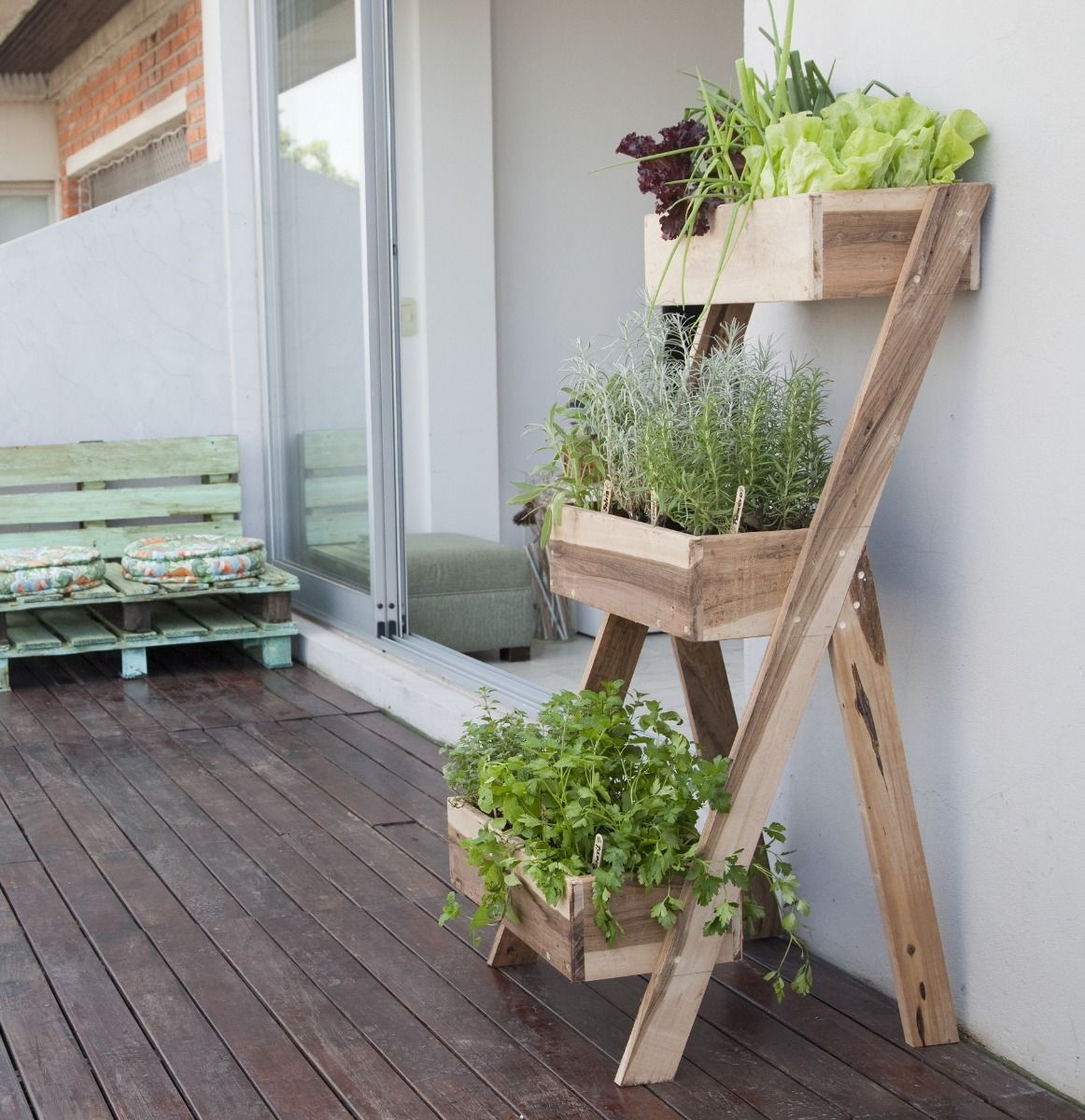 melhores plantas para horta em apartamento com pouca luz