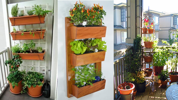 melhores plantas para horta em apartamento com sol pleno
