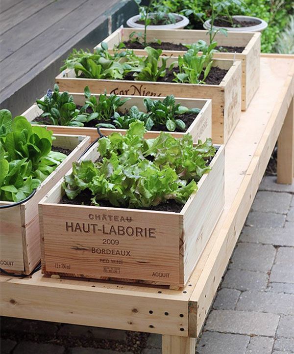 ideias de horta em pequenos espaços criativas