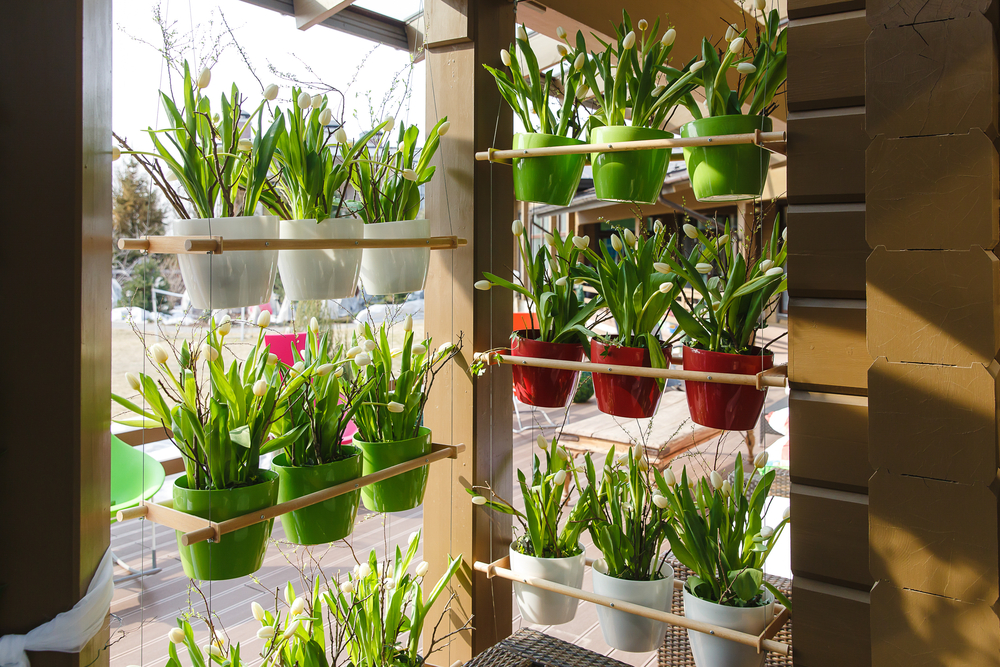 ideias de horta na área de serviço