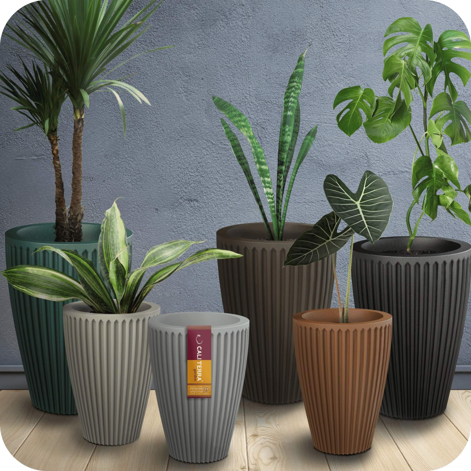 ideias criativas para decorar casa com plantas