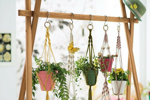 drenagem correta para vasos de plantas internas