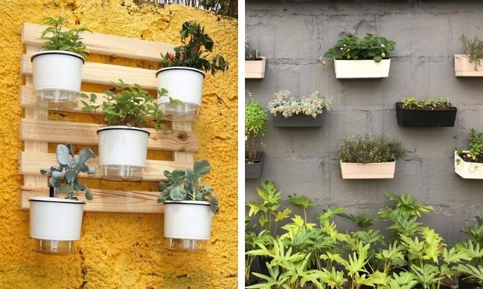 erros comuns ao decorar com vasos de plantas