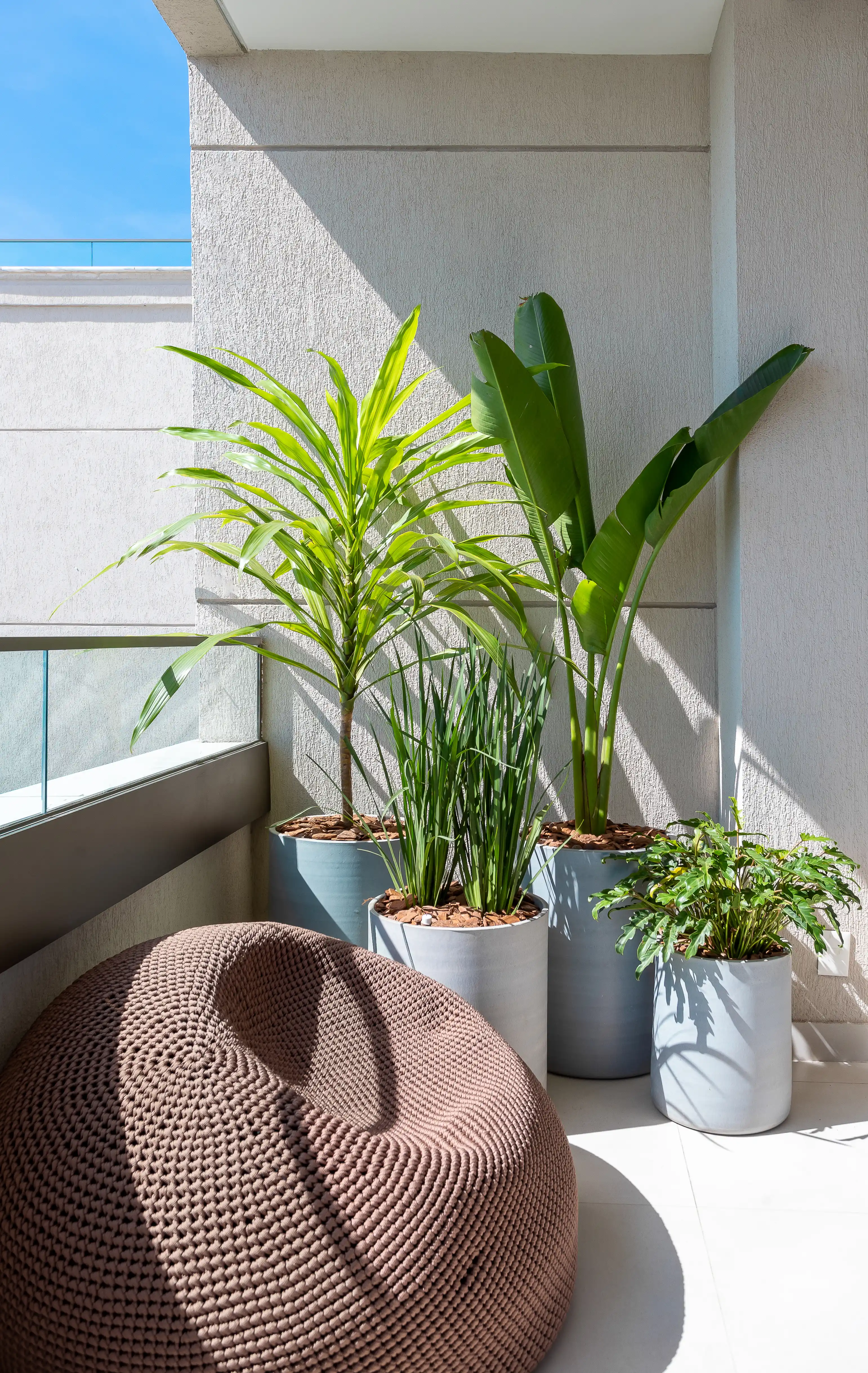 vasos de cimento versus vasos de cerâmica qual escolher
