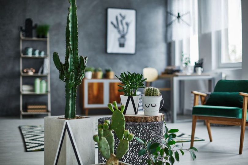 como fazer vasos de plantas baratos em casa