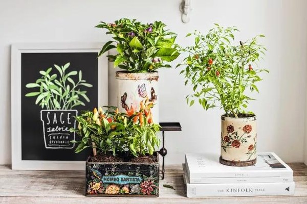 como fazer vasos de plantas baratos em casa