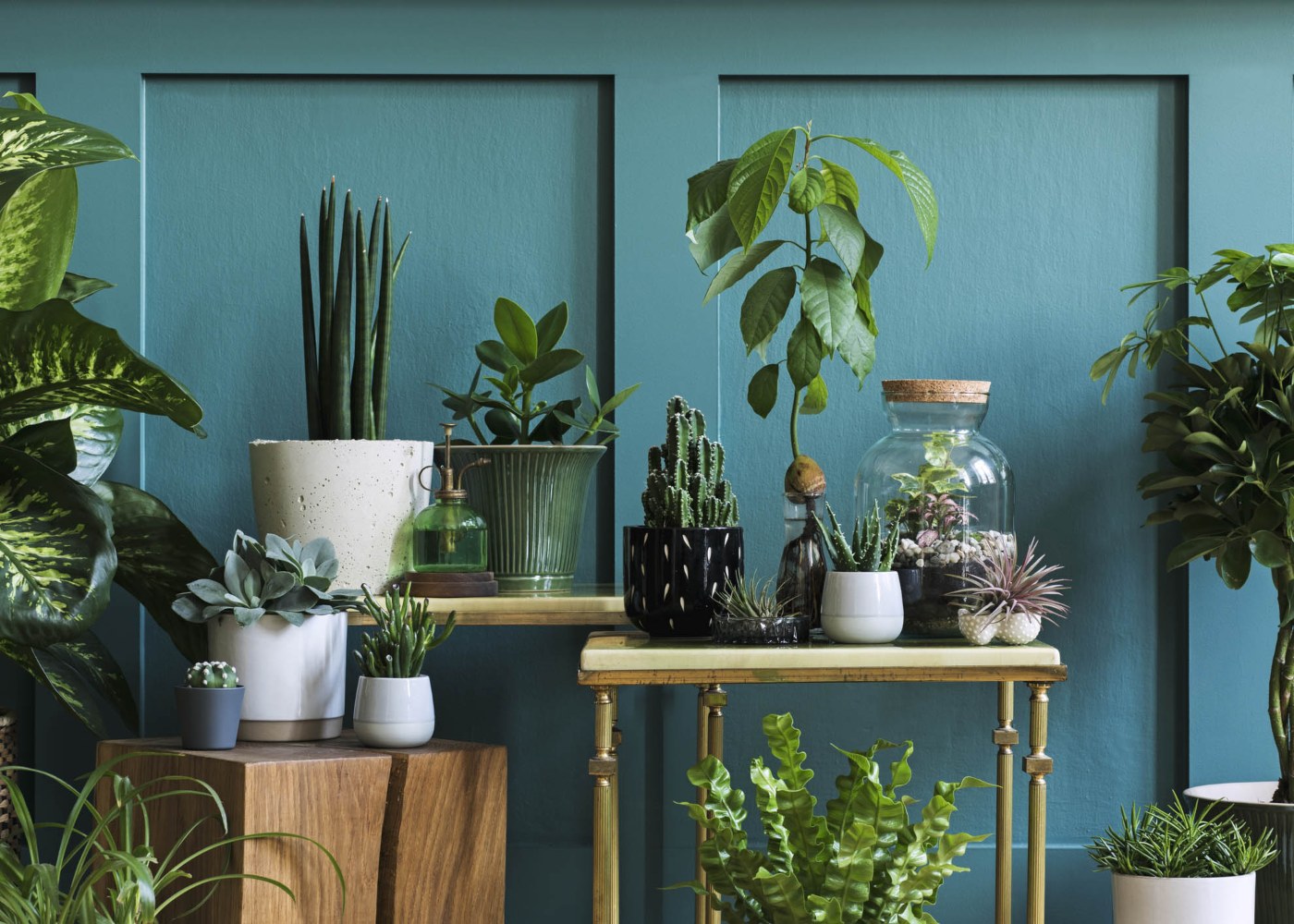 vasos de cimento versus vasos de cerâmica qual escolher