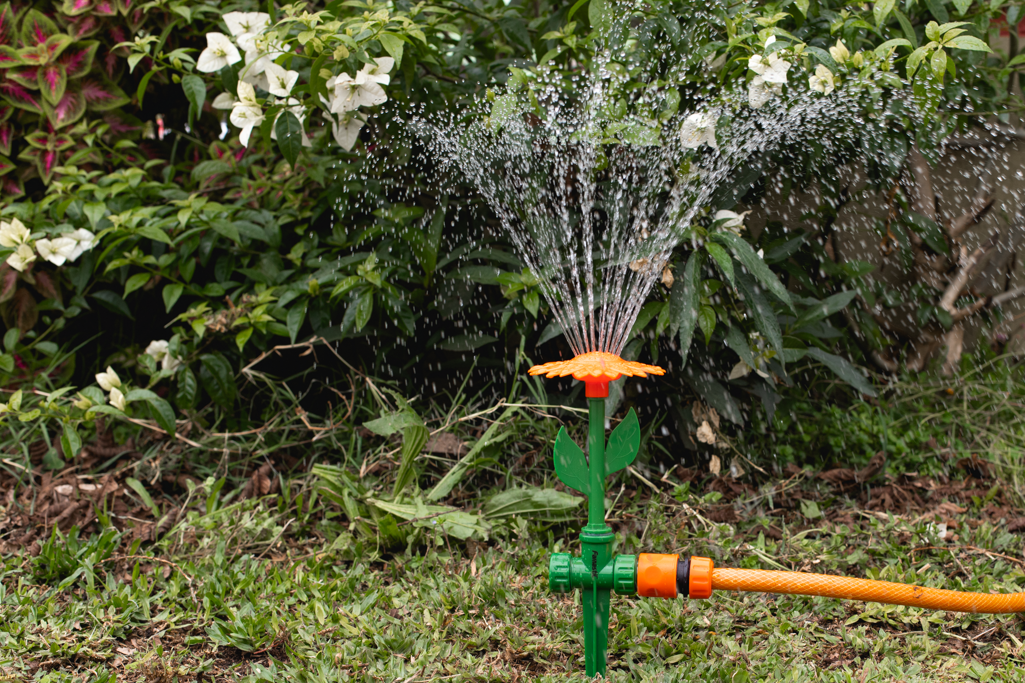 ideias criativas irrigacao jardim pequeno sustentavel